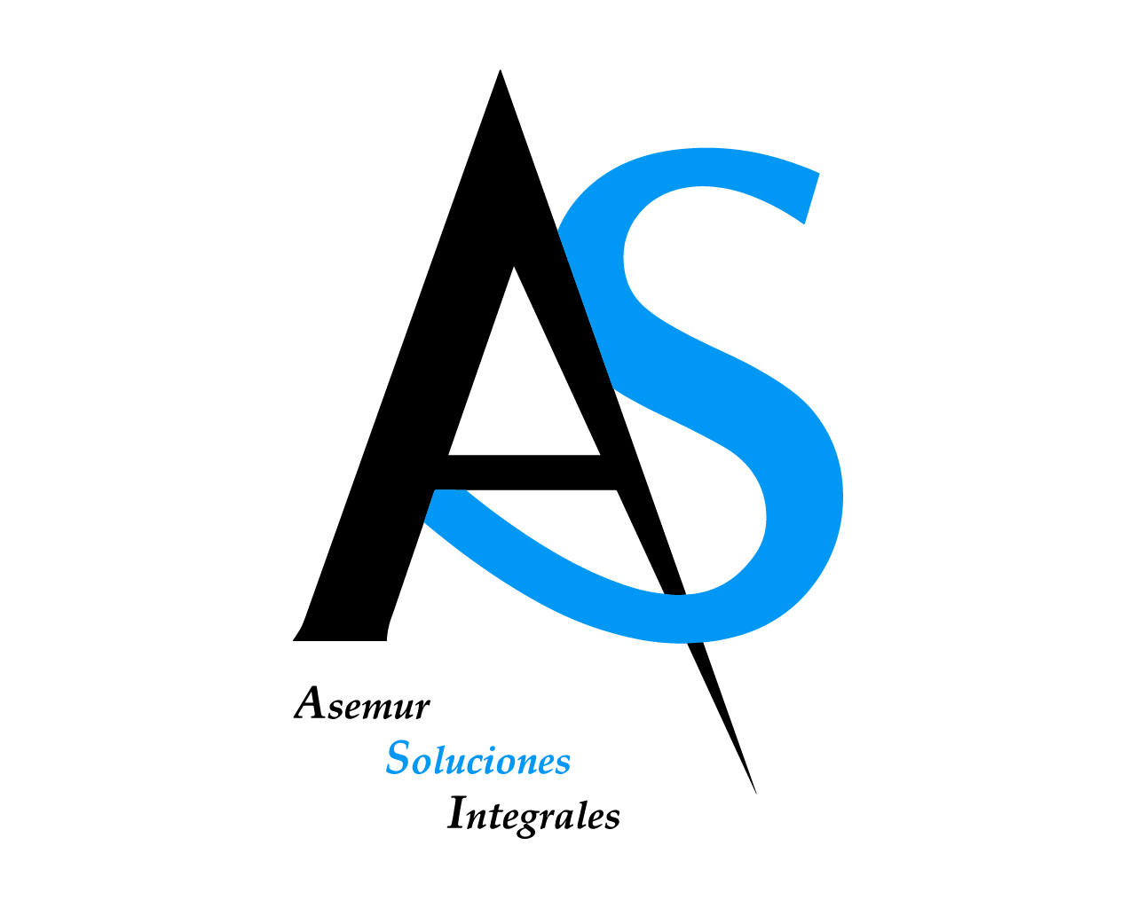 asemursolucionesintegrales